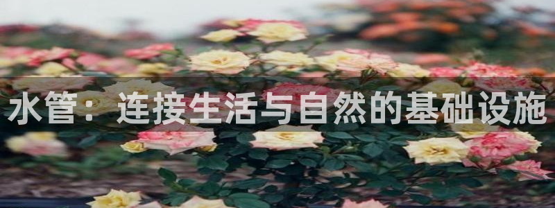 天辰娱乐下载地址
