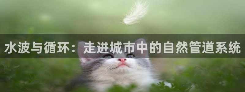 天辰娱乐首页