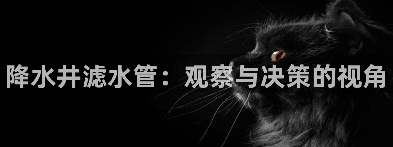 天辰彩票娱乐