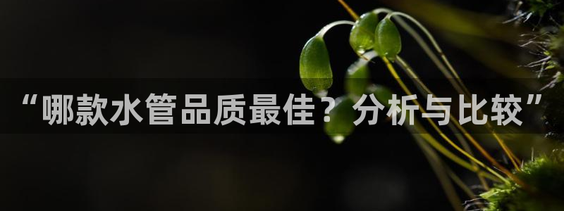 天辰团队贝高娱乐