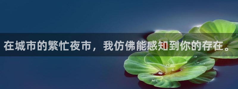天辰娱乐公司