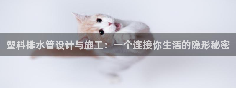 天辰娱乐总管年薪