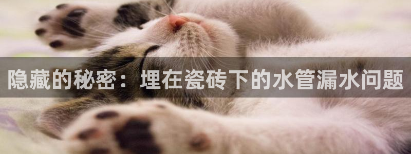 天辰娱乐游戏平台怎么样
