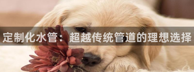 nba天辰娱乐