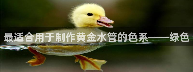 天辰娱乐
