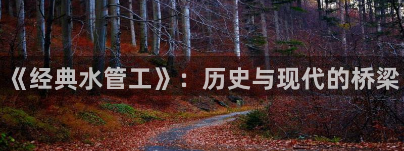 天辰娱乐开户