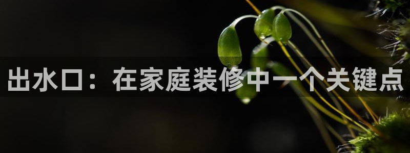 天辰天辰娱乐
