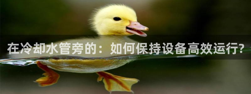 天辰娱乐39974神