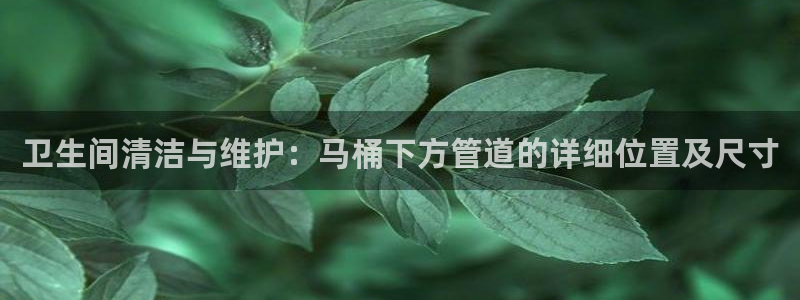 天辰娱乐棋牌