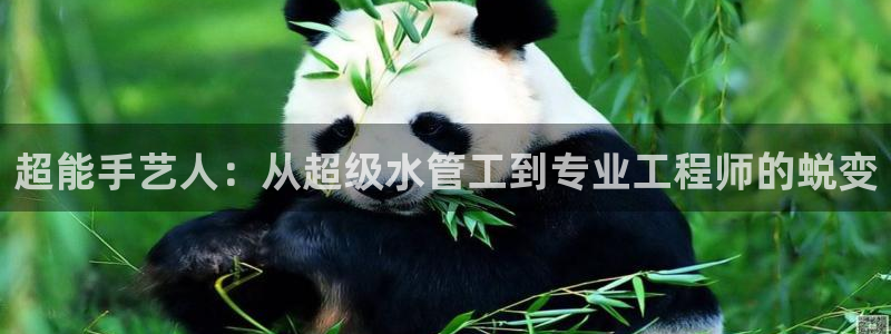 天辰娱乐国际