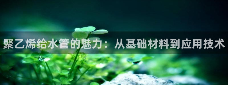天辰娱乐1996