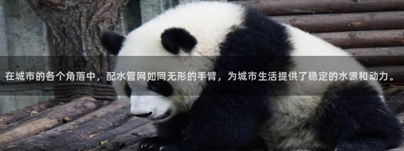 天辰娱乐怎么样