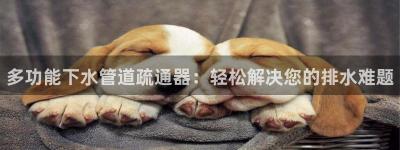 天辰娱乐会员