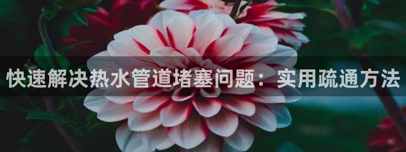 天辰娱乐1966