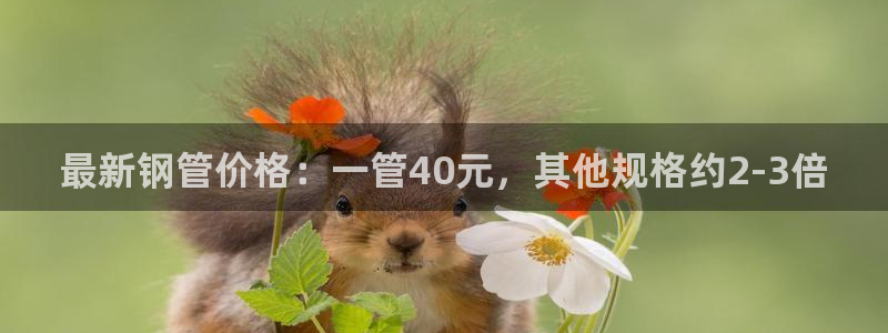 天辰娱乐60447
