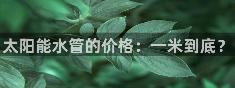 天辰娱乐海洋