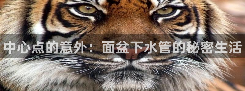 天辰娱乐代理