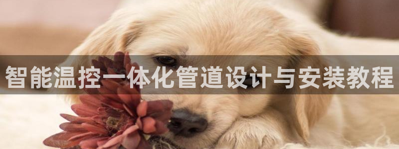 天辰娱乐解封