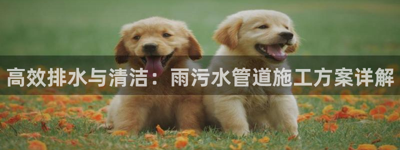 天辰娱乐39974神