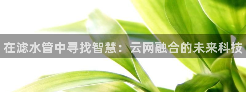 天辰娱乐22650