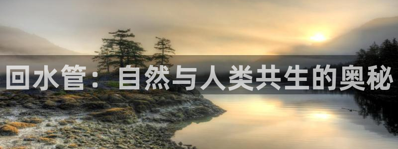 天辰团队贝高娱乐