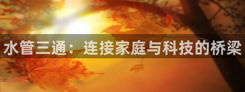 南充天辰娱乐