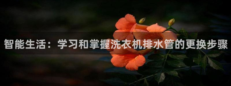 天辰娱乐tff