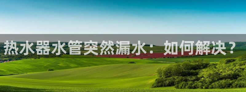 天辰娱乐网