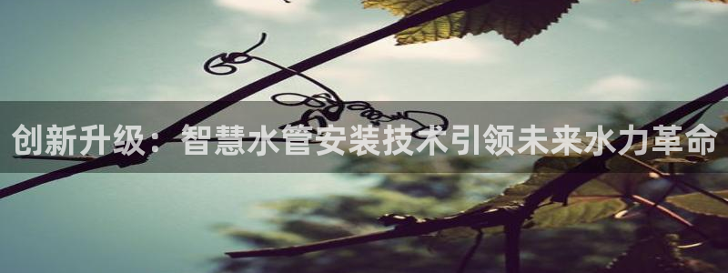 辰天娱乐用品