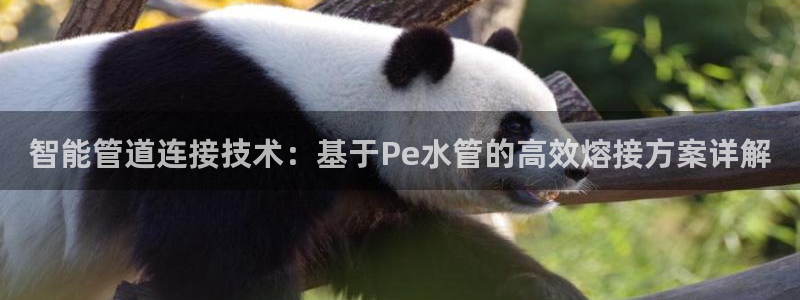 天辰娱乐跑的快