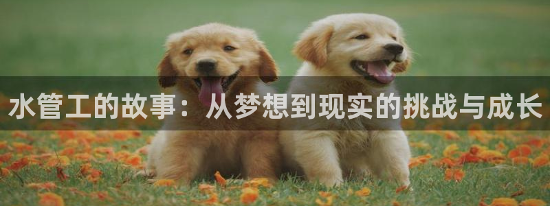 天辰娱乐电话