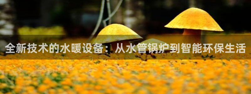 天辰娱乐60447