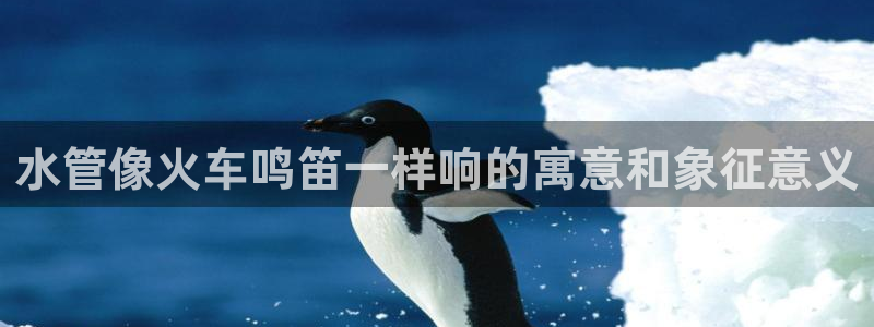 天辰娱乐入口