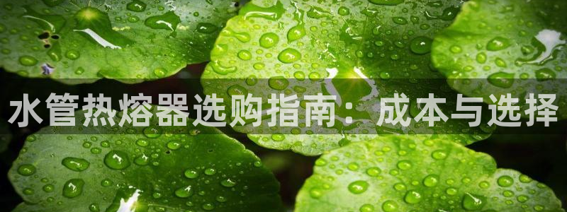 天辰娱乐首页