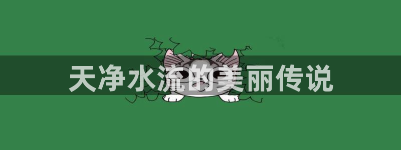 天辰臣娱乐