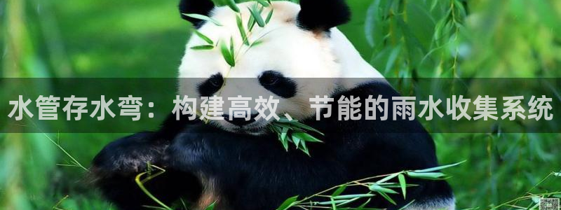 天辰娱乐开户