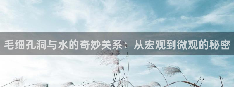 天辰娱乐上级