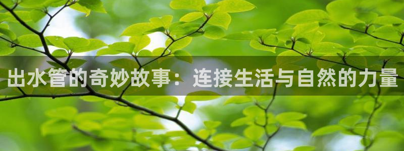 天辰娱乐557696