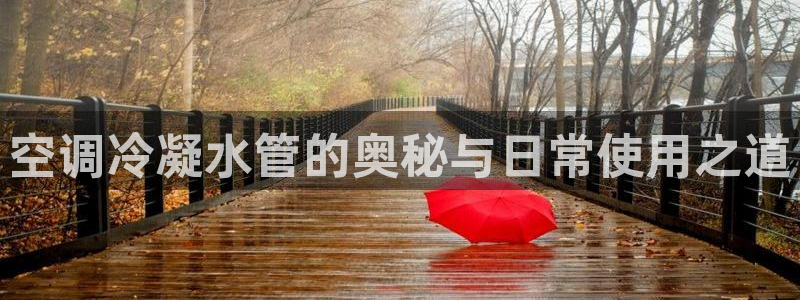 天辰天富娱乐登录