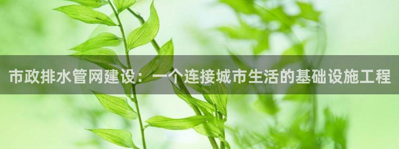 天辰娱乐游客