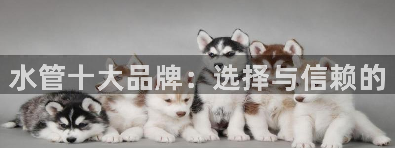 天辰娱乐登录测试