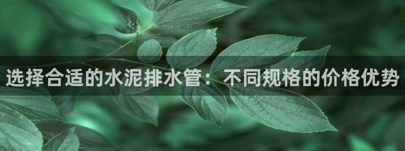 天辰娱乐彩票