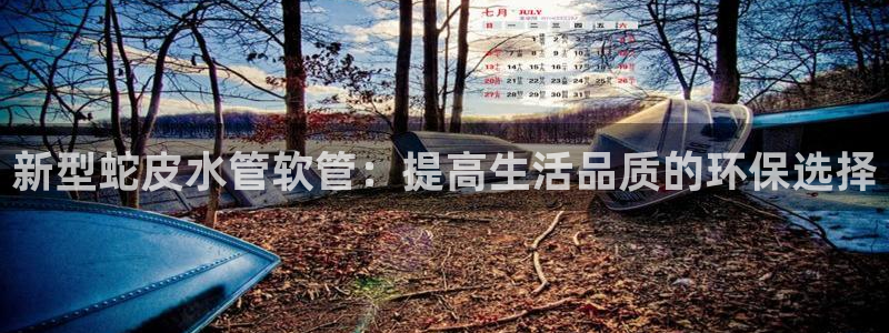 天辰娱乐连接