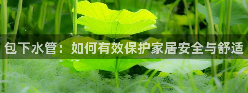 天辰娱乐下载链接