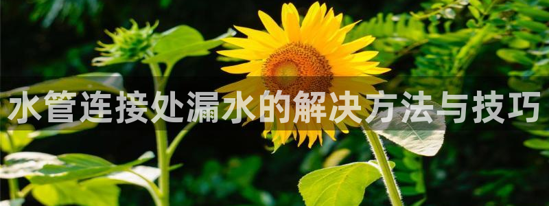 天辰娱乐APP下载