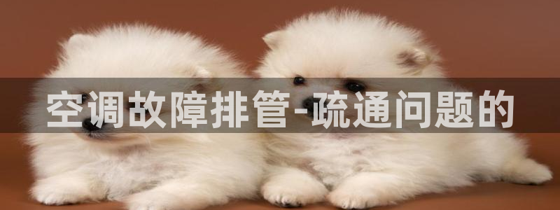 天辰娱乐官网平台下载