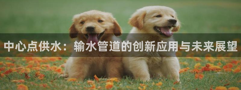 天辰娱乐平台注册