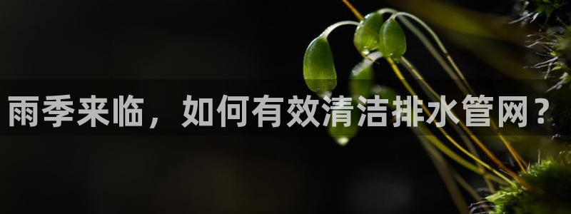 天辰娱乐 . 鱼刺