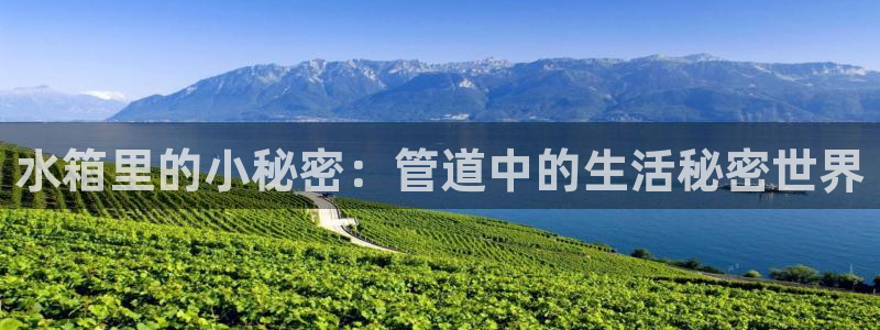 天辰娱乐下载链接