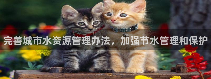 哈尔滨天辰娱乐